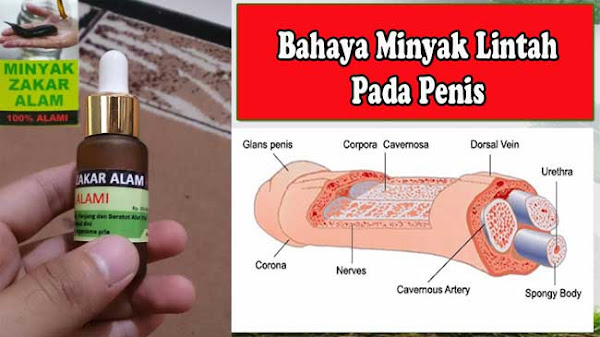 Awas! Bahaya Minyak Lintah Pada Alat Vital Pria