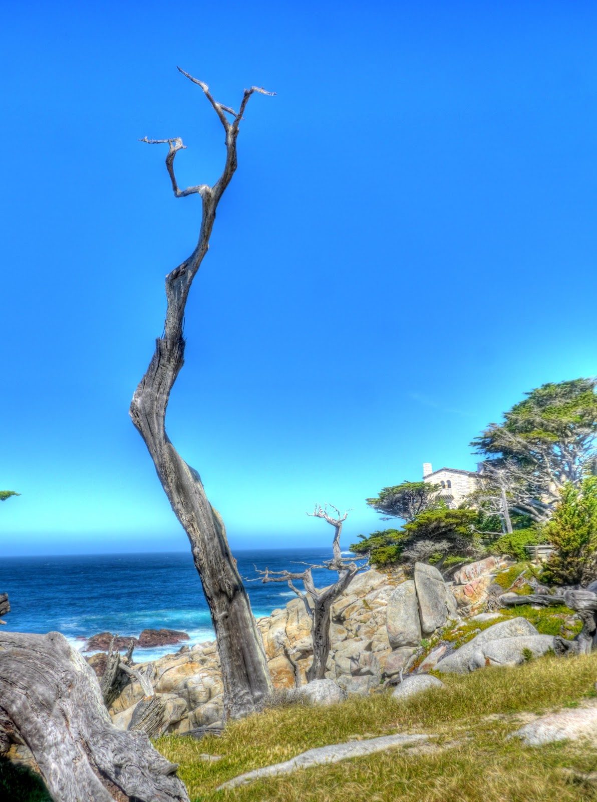 P1090662_56_57_58_59_60_61_tonemapped.JPG