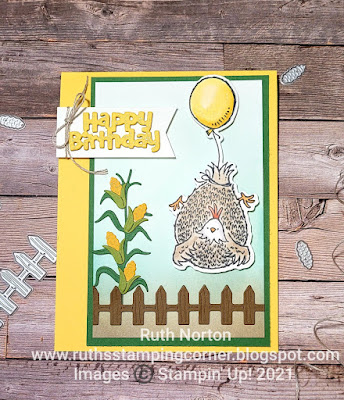 stampin up, hey birthday chick, hey chick