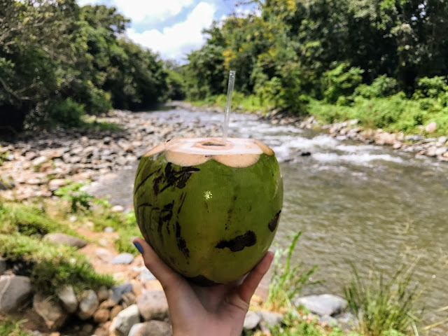 El Yunque Coconut - ATV Tour - Puerto Rico