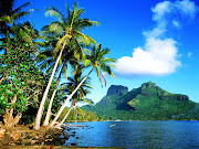 Coconut Tree Wallpapers (coconut tree wallpapers )