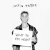 Download Justin Bieber - What Do You Mean? [iTunes Plus AAC M4A]