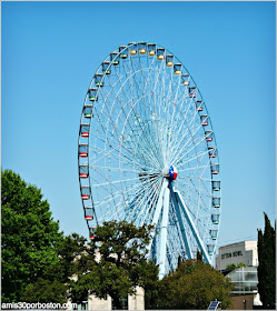 Texas Star Ferris Wheel