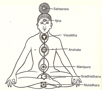 Trishula Chakra and Nadis