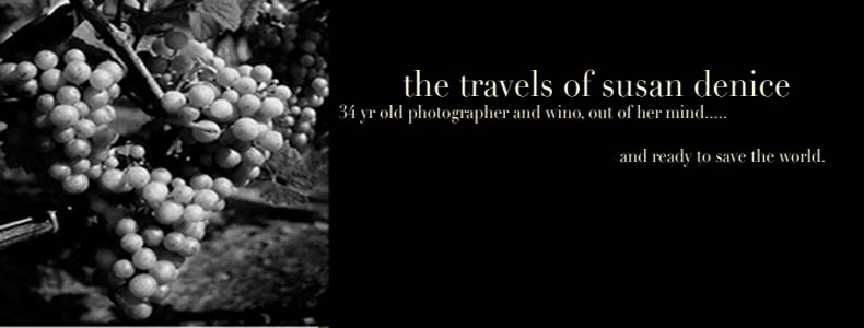 The Travels of Susan Denice