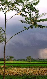 Tempat Wisata Di Tegal, Jawa Tengah 4