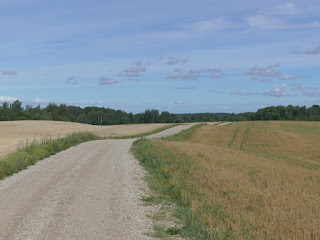 põlluvahetee Puka lähedal