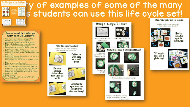 Sunflower Learning Fun: Who knew there were so many ways to learn and practice important skills with sunflowers?