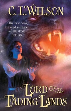 lord of the fading lands