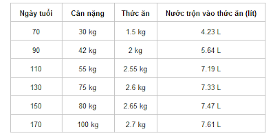 Chế độ ăn khi chưa chỉnh sửa