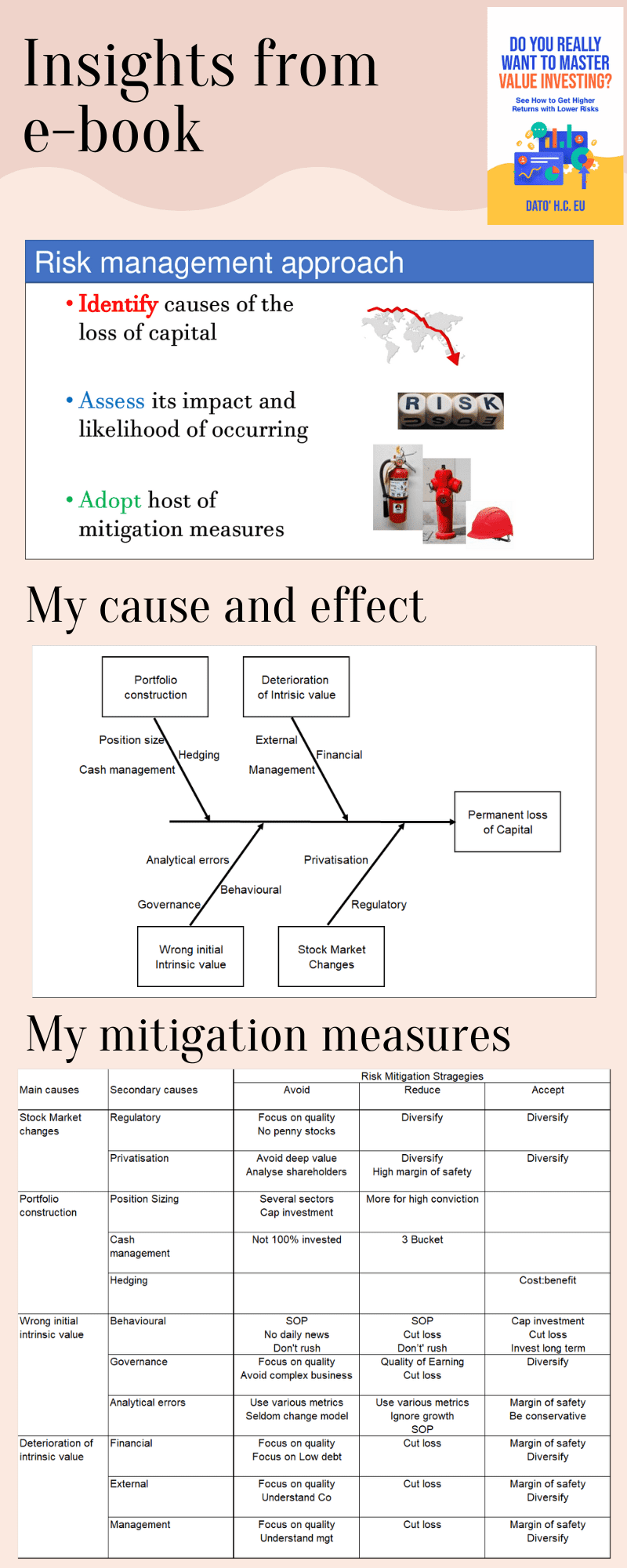 My risk mitigation framework