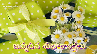 జన్మదిన శుభాకాంక్షలు చిత్రాలు.  janmadina subhakankshalu Telugu birthday wishes images.