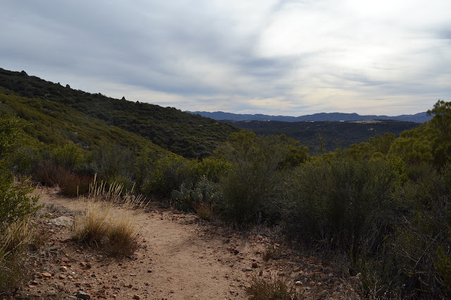 valley and long mesas