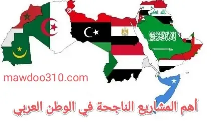 أهم المشاريع الناجحة في الدول العربية