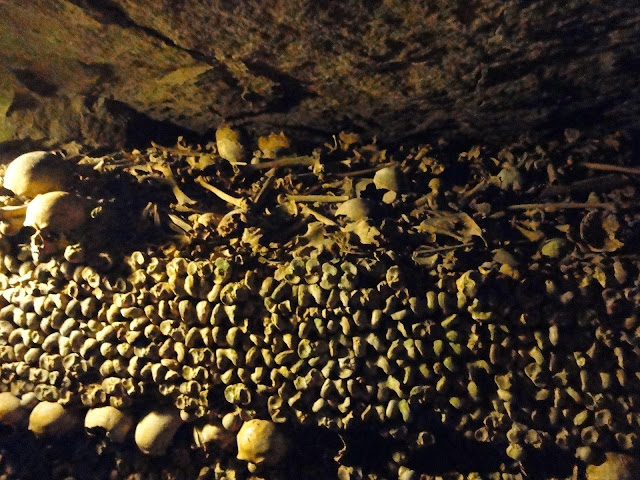 Resultado de imagem para Quase 800 esqueletos de bebÃªs sÃ£o encontrados ao lado de convento na Irlanda