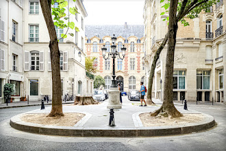 Paris : Arbre abattu rue de Furstemberg. Pourquoi le paulownia de la place a-t-il été coupé ? L'abattage était-il évitable ? - VIème 