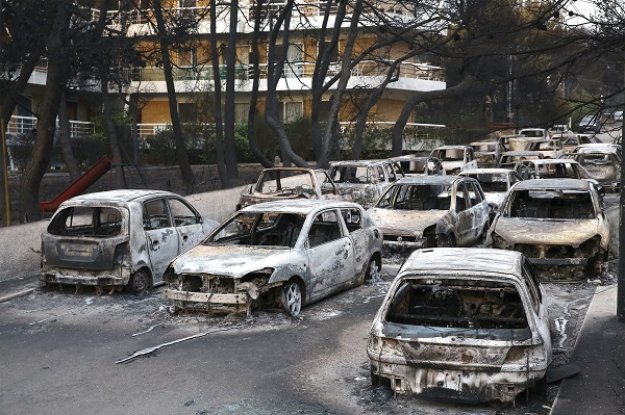 Δεν είναι παχύδερμα. Είναι ανήθικοι