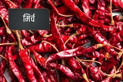 chili most common Indian spice name in Hindi
