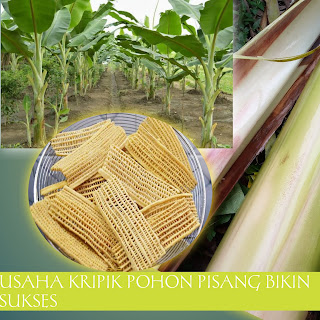 Usaha-bisnis kripik pohon pisang