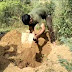 भिण्ड - तेंदुआ के मरने की अफवाह से चकरघिन्नी हुआ वन अमला