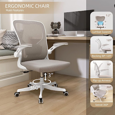 Ergonomic Arms Office Chair with Lumbar Support
