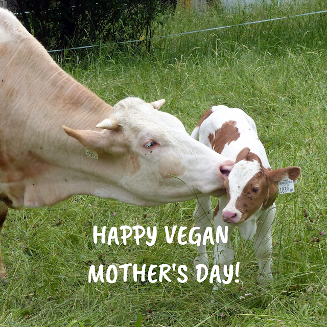 Happy Vegan Mother's Day
