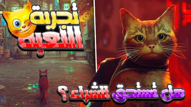 stray, stray cat, stray 2022, تجربة لعبة حياة قط ستراي, تجربة لعبة Stray, تجربة لعبة Stray 2022, تجربة لعبة Stray (حياة قط), من اغرب الالعاب, تجربة اغرب لعبة حياة قط, هل تستحق شراء؟, واخيرا تجربة لعبة stray حياة قط,