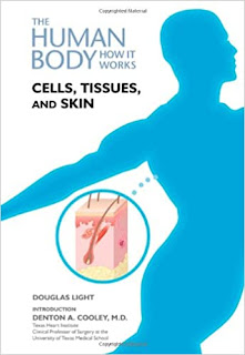 Your Body How It  Works Cells, Tissues and Skin