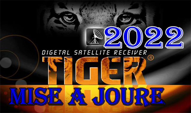 mise a joure tiger 2022/09/15