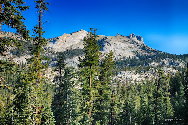 Yosemite National Park Tioga Pass geology travel field trip copyright rocdoctravel.com