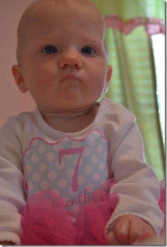 DSC_0024 (2)