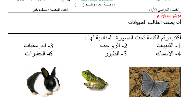 ورقة عمل درس تصنيف الحيوانات علوم فصل أول صف أول