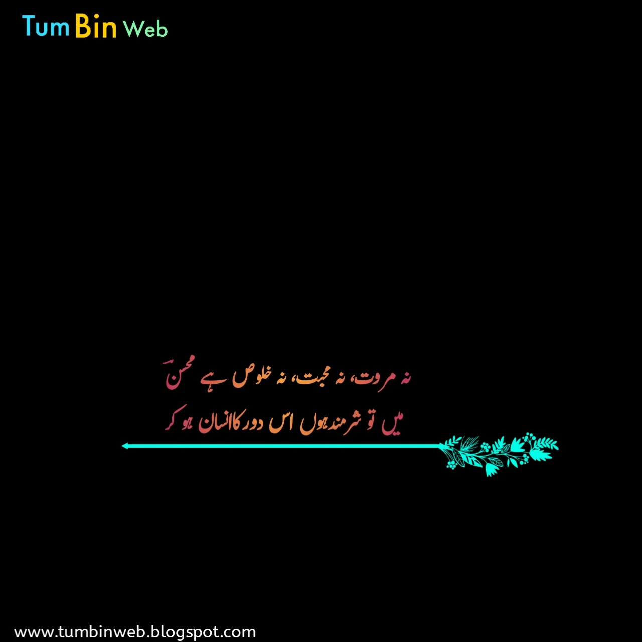 Tumbinweb