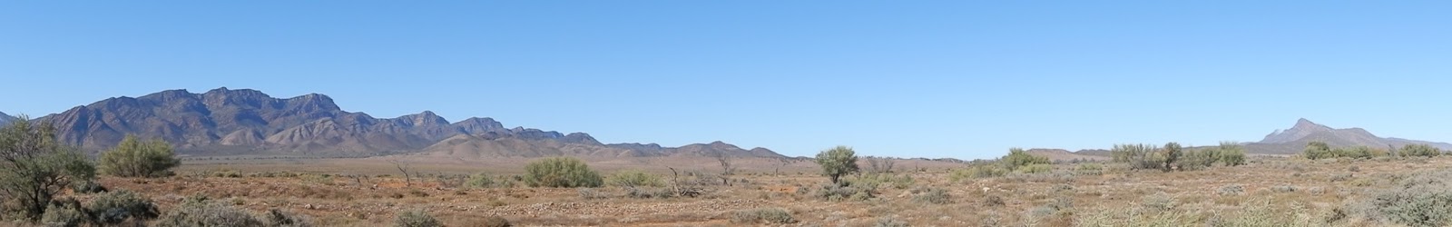 DSCN5640