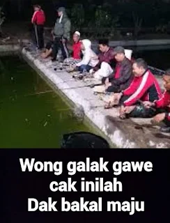 Mancing mania