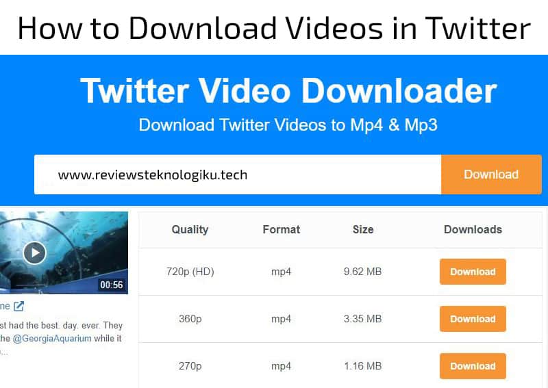 download video twitter