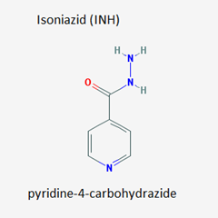 isoniazid