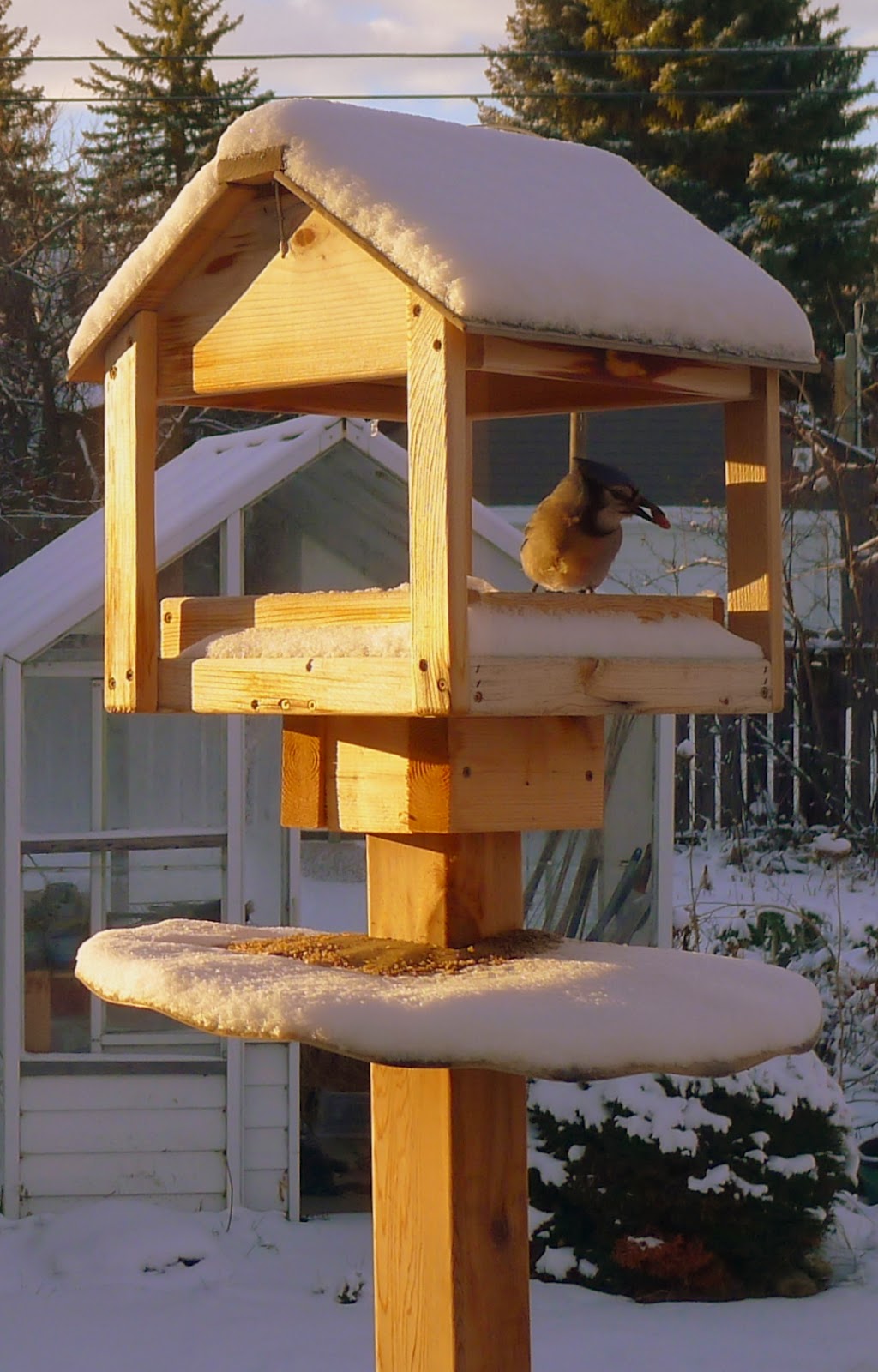 Backyard Garden : Wooden Bird Feeder Stand and Feeder Tube