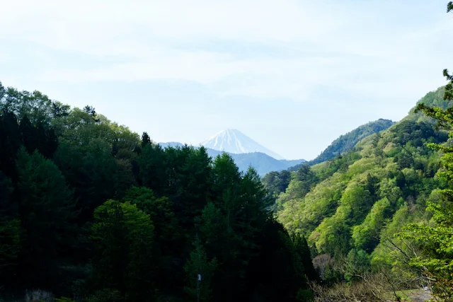 金櫻神社（山梨）の富士山遥拝所からの眺め