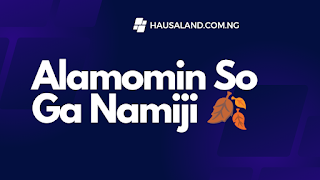 Alamomin so ga namiji