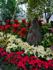 Allan Gardens Conservatory Christmas Flower Show 2013 red white poinsettias by garden muses: a Toronto gardening blog