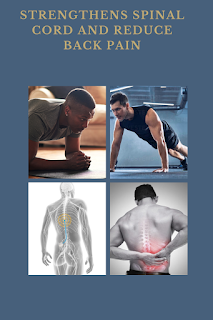 Strengthens spinal cord and reduce back pain