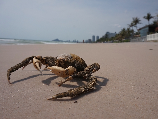 Am Strand von Hua Hin