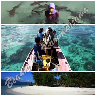 karimunjawa, wisata karimunjawa murah meriah tambah darah, tour karimunjawa istimewa, paket honeymoon murah, travel di jogjakarta karimunjawa, kapal cepat istimewa cantika, km muria indah istimewa,wisata jepara bumi kartini, wisata pantai pasir putih, pulau wisata karimunjawa indonesia raya