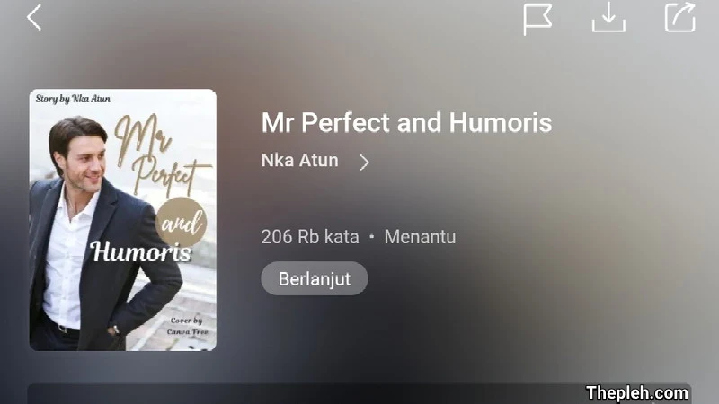 Novel Mr Perfect and Humoris Full Bab