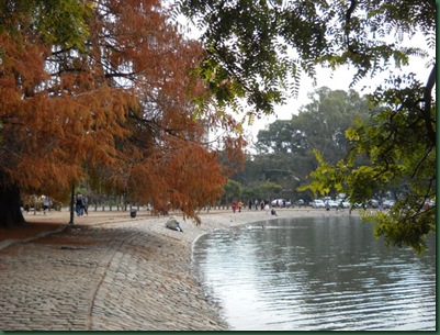 08agosto2010 115