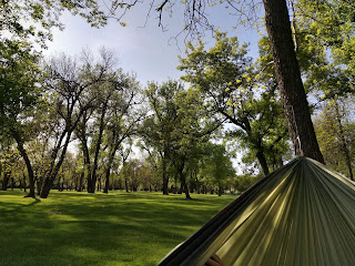 bismark park hammock