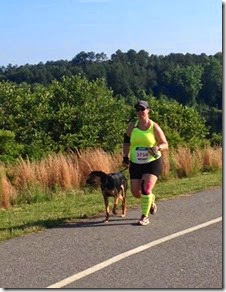 YLD5k11