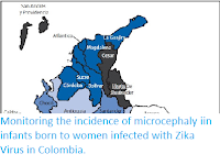 http://sciencythoughts.blogspot.co.uk/2016/12/monitoring-incidence-of-microcephaly.html