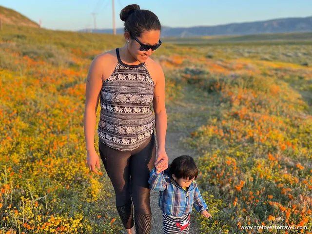 Antelope Valley California Poppy Reserve Best Time To Visit, California